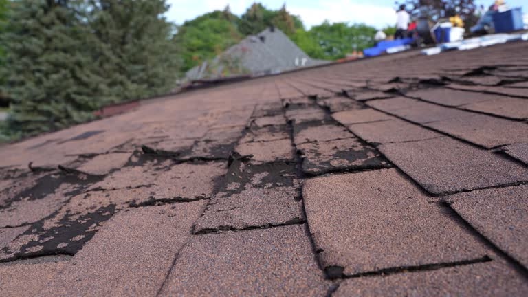 Best Cold Roofs  in Bourbon, IN