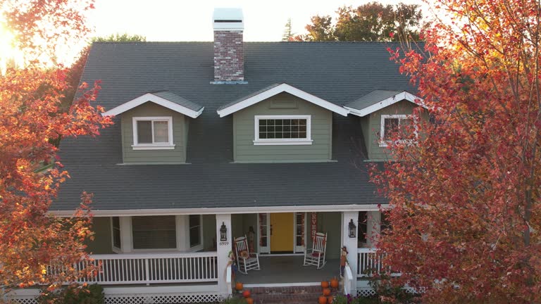 Best Roof Moss and Algae Removal  in Bourbon, IN